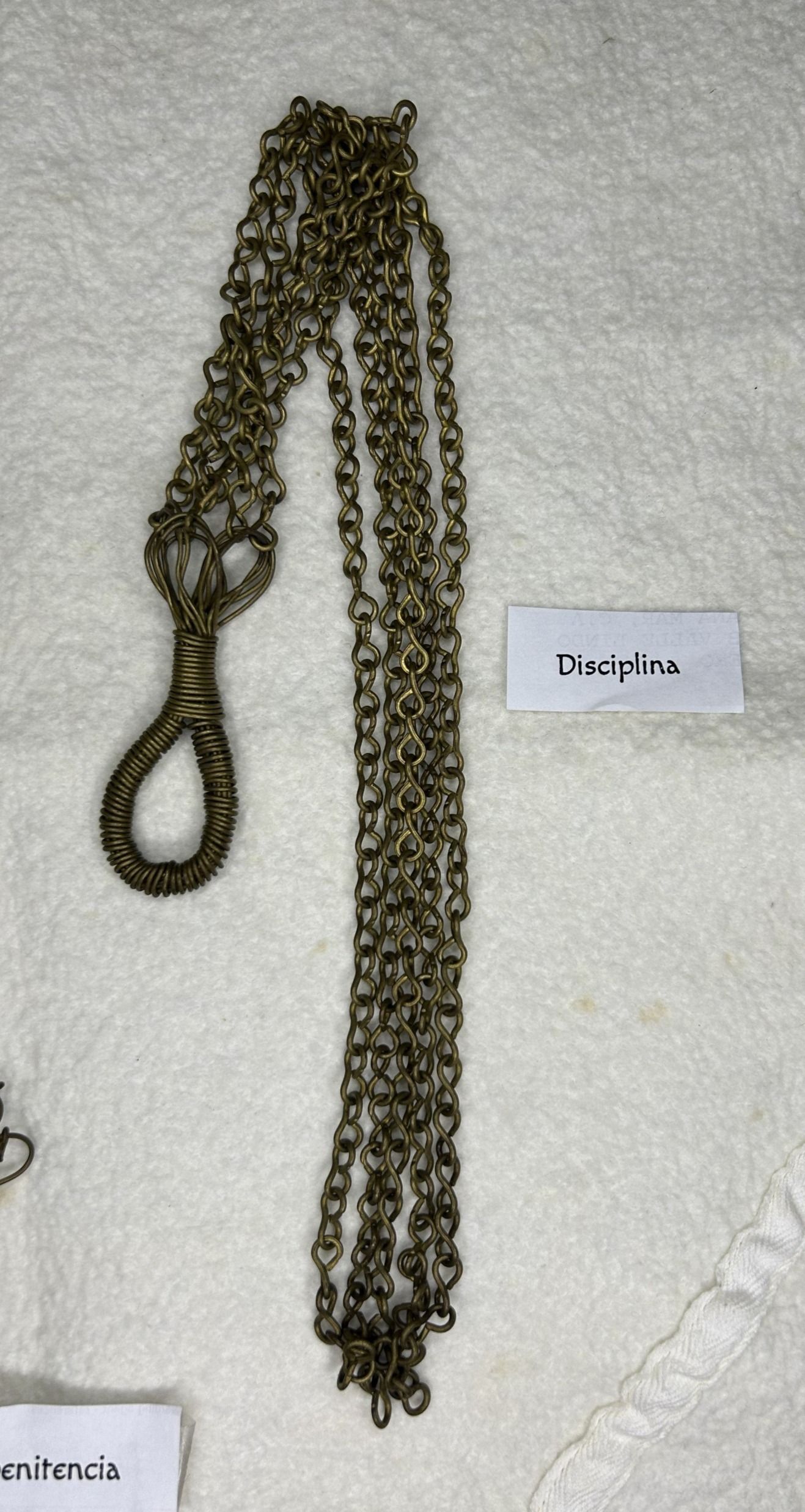 Disciplina